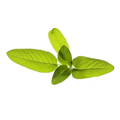 Click & Grow - Smart Garden 3-pack Puutarha Salvia Puutarha Salvia