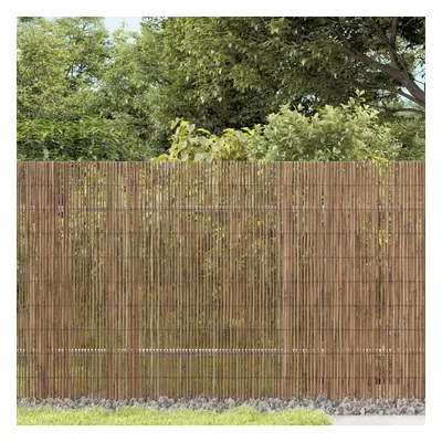 vidaXL Puutarha-aita 1000x90 cm kaisla