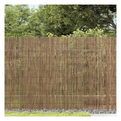 vidaXL Puutarha-aita 400x100 cm kaisla