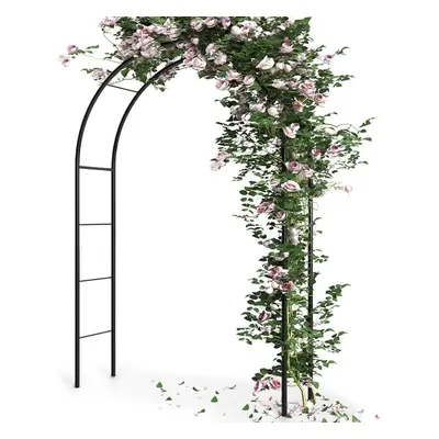 Vilde metallinen puutarha pergola 145x235 cm